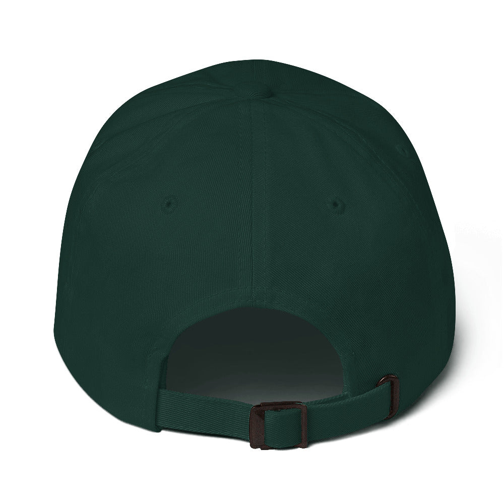 Baseball hat- Silver Warrior